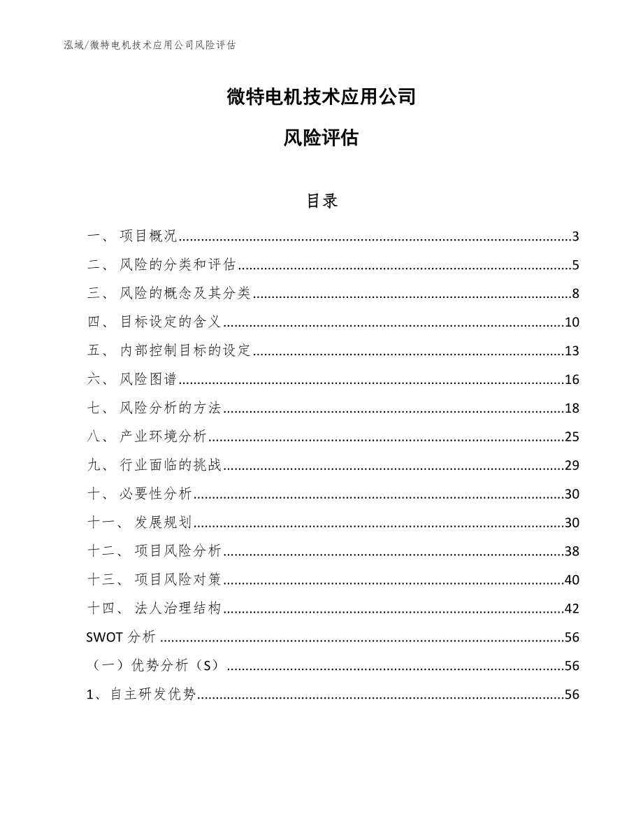 微特电机技术应用公司风险评估【范文】_第1页