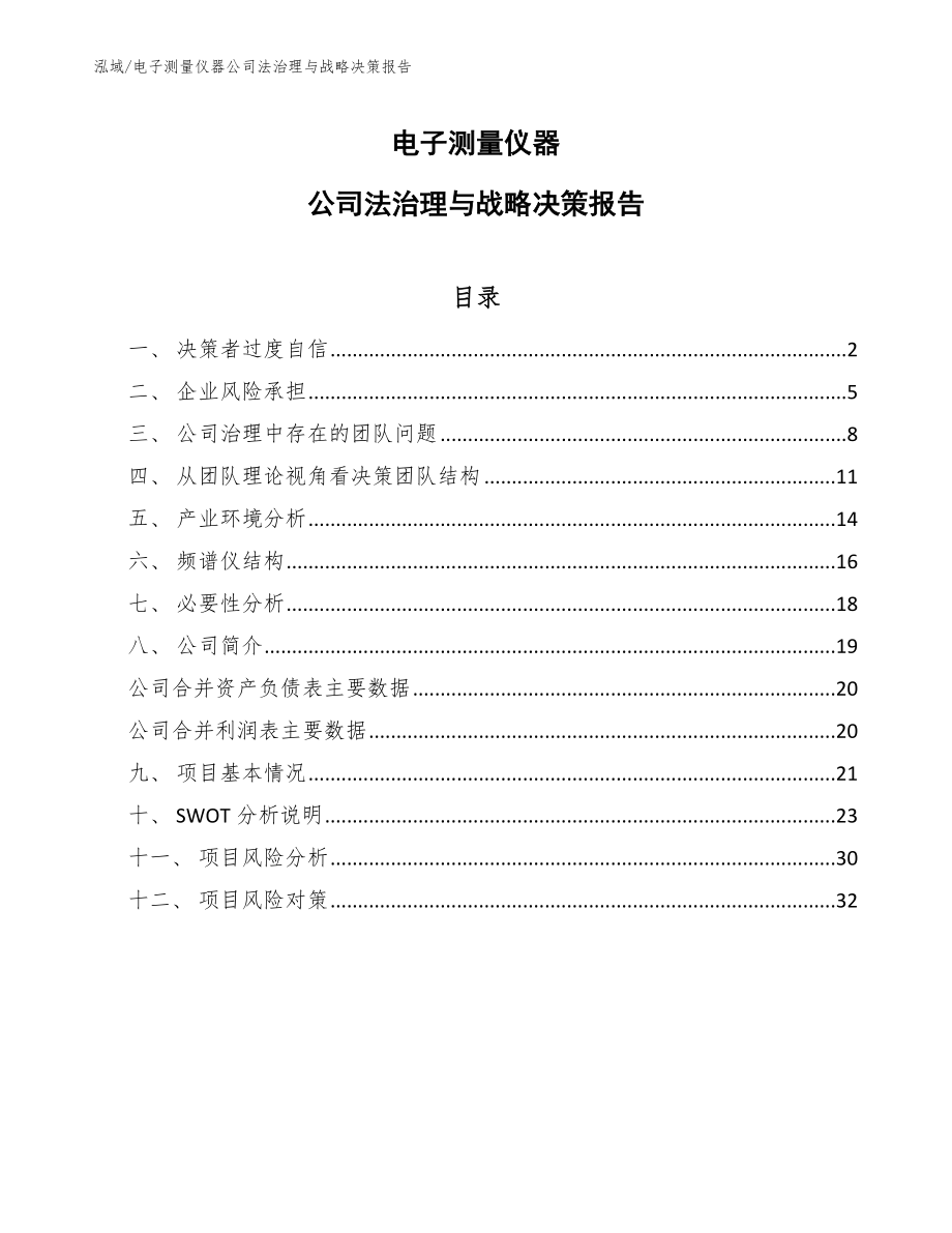 电子测量仪器公司法治理与战略决策报告（参考）_第1页