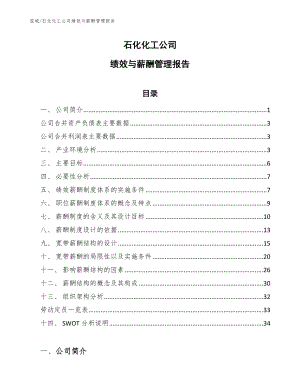 石化化工公司绩效与薪酬管理报告_范文