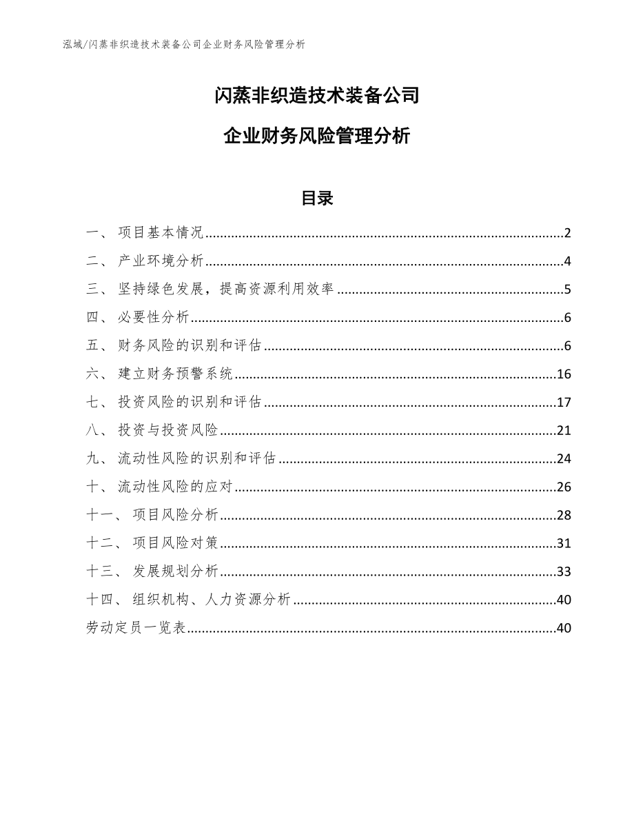 闪蒸非织造技术装备公司企业财务风险管理分析【范文】_第1页