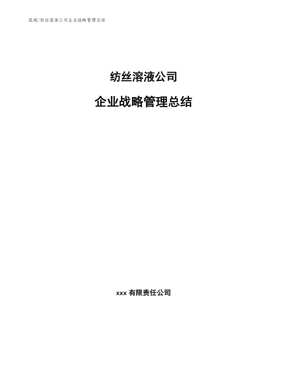 纺丝溶液公司企业战略管理总结（参考）_第1页