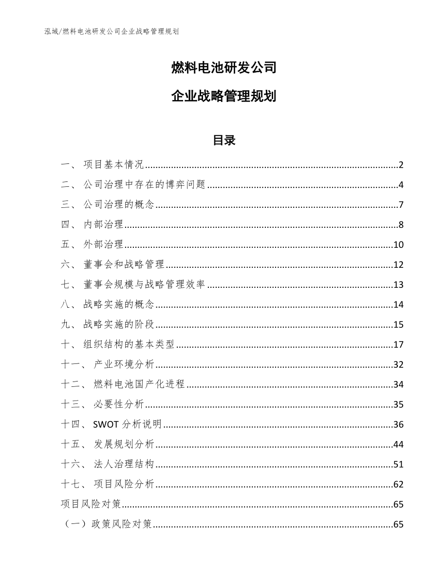 燃料电池研发公司企业战略管理规划（范文）_第1页