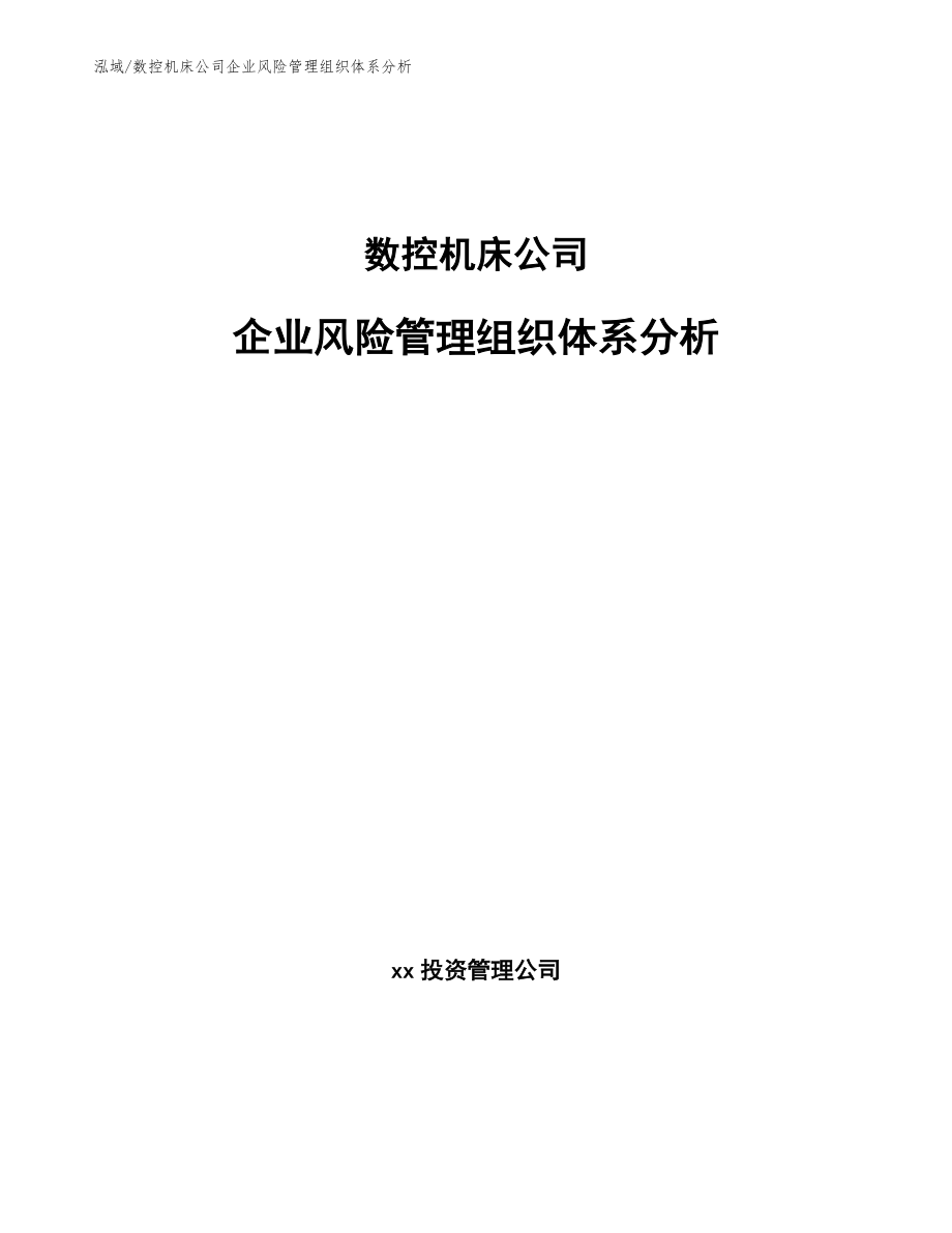 数控机床公司企业风险管理组织体系分析_范文_第1页