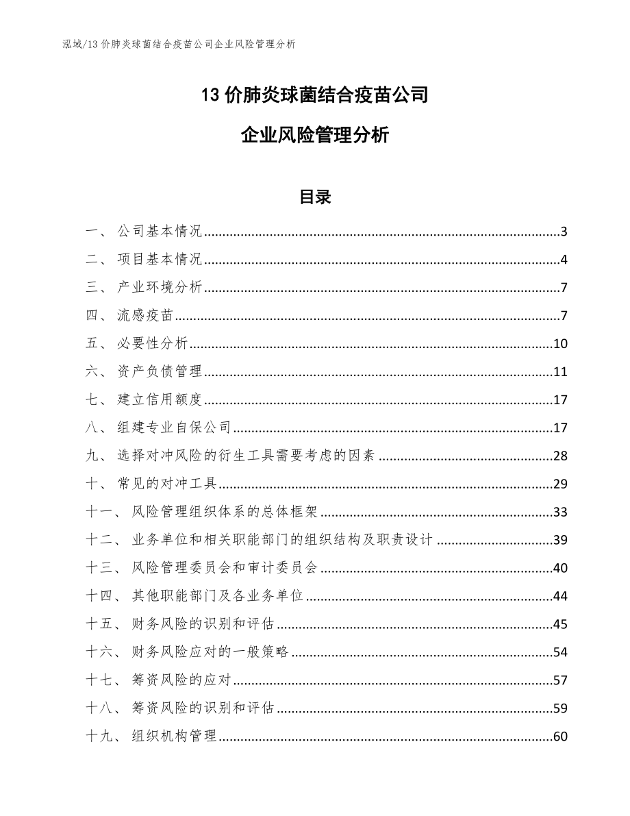 13价肺炎球菌结合疫苗公司企业风险管理分析_范文_第1页