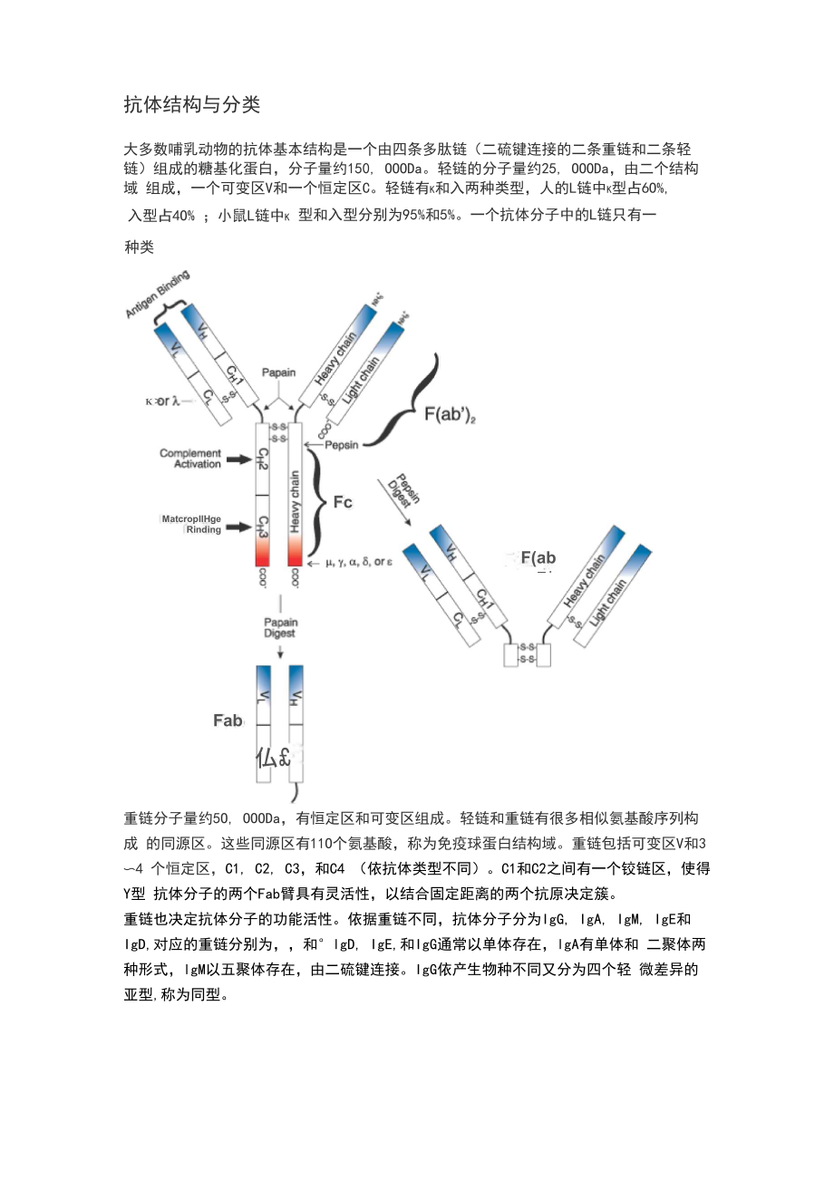 抗体结构与分类_第1页