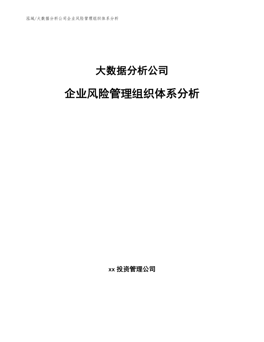 大数据分析公司企业风险管理组织体系分析（范文）_第1页