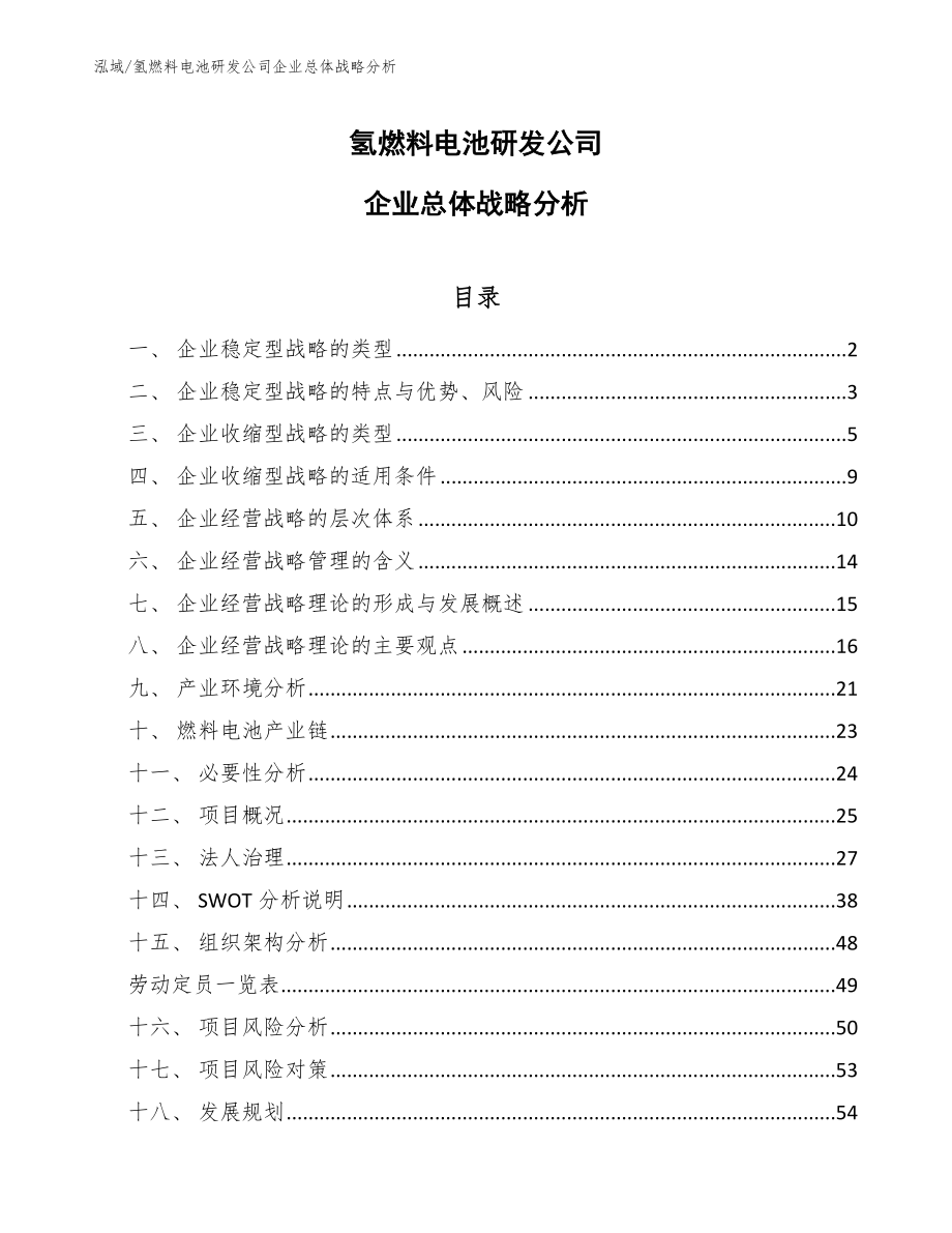 氢燃料电池研发公司企业总体战略分析_参考_第1页