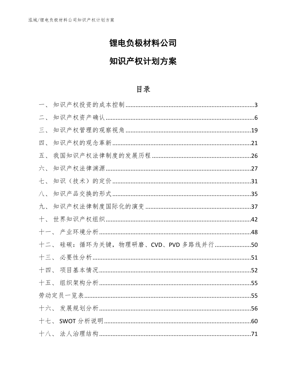 锂电负极材料公司知识产权计划方案（参考）_第1页