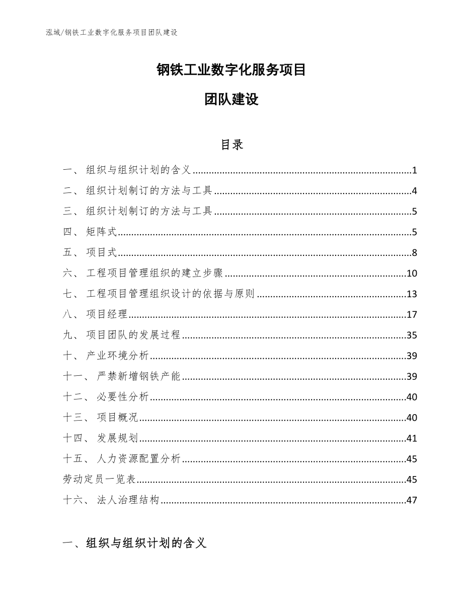 钢铁工业数字化服务项目团队建设_第1页