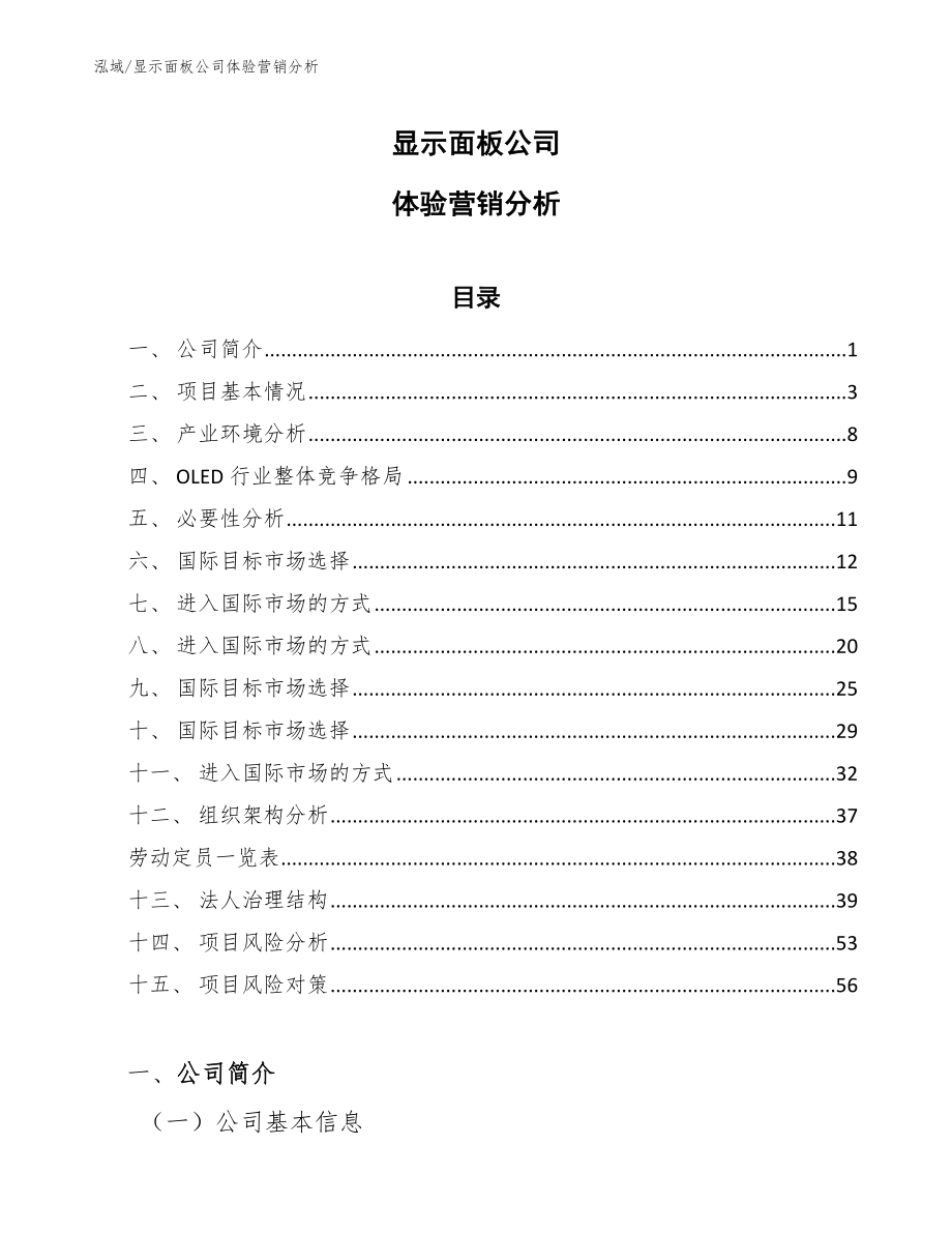 显示面板公司体验营销分析_第1页