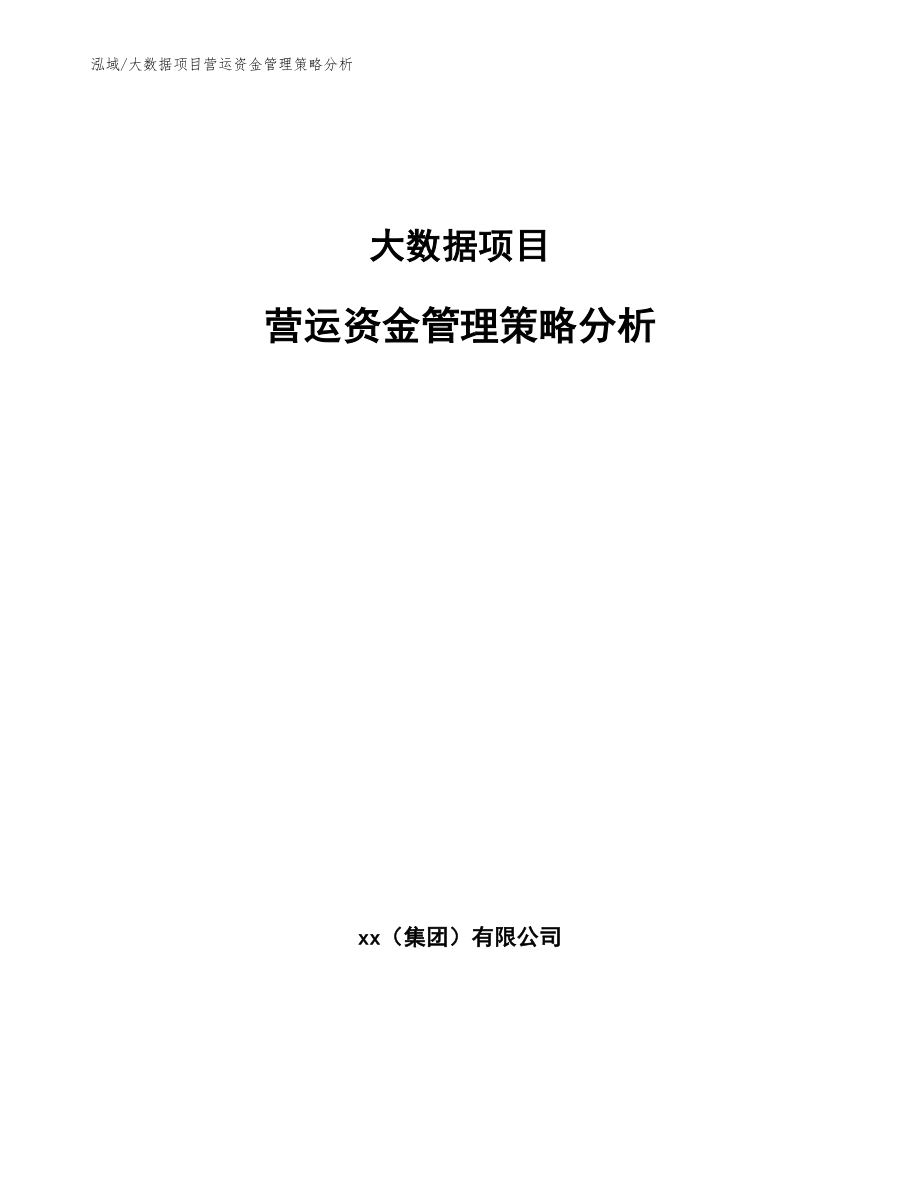 大数据项目营运资金管理策略分析_第1页