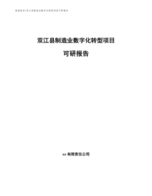 双江县制造业数字化转型项目可研报告