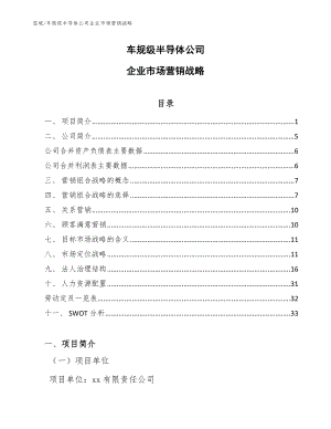 车规级半导体公司企业市场营销战略（范文）