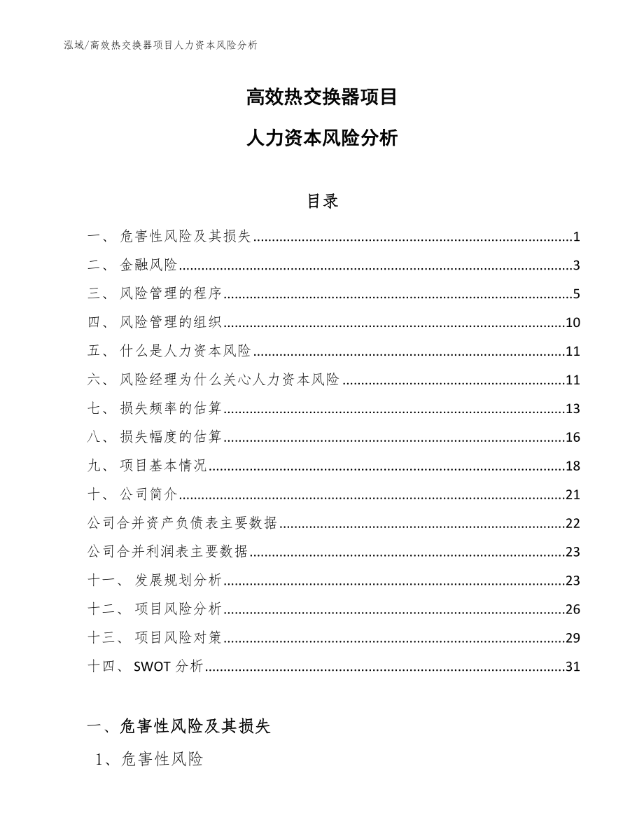 高效热交换器项目人力资本风险分析（参考）_第1页