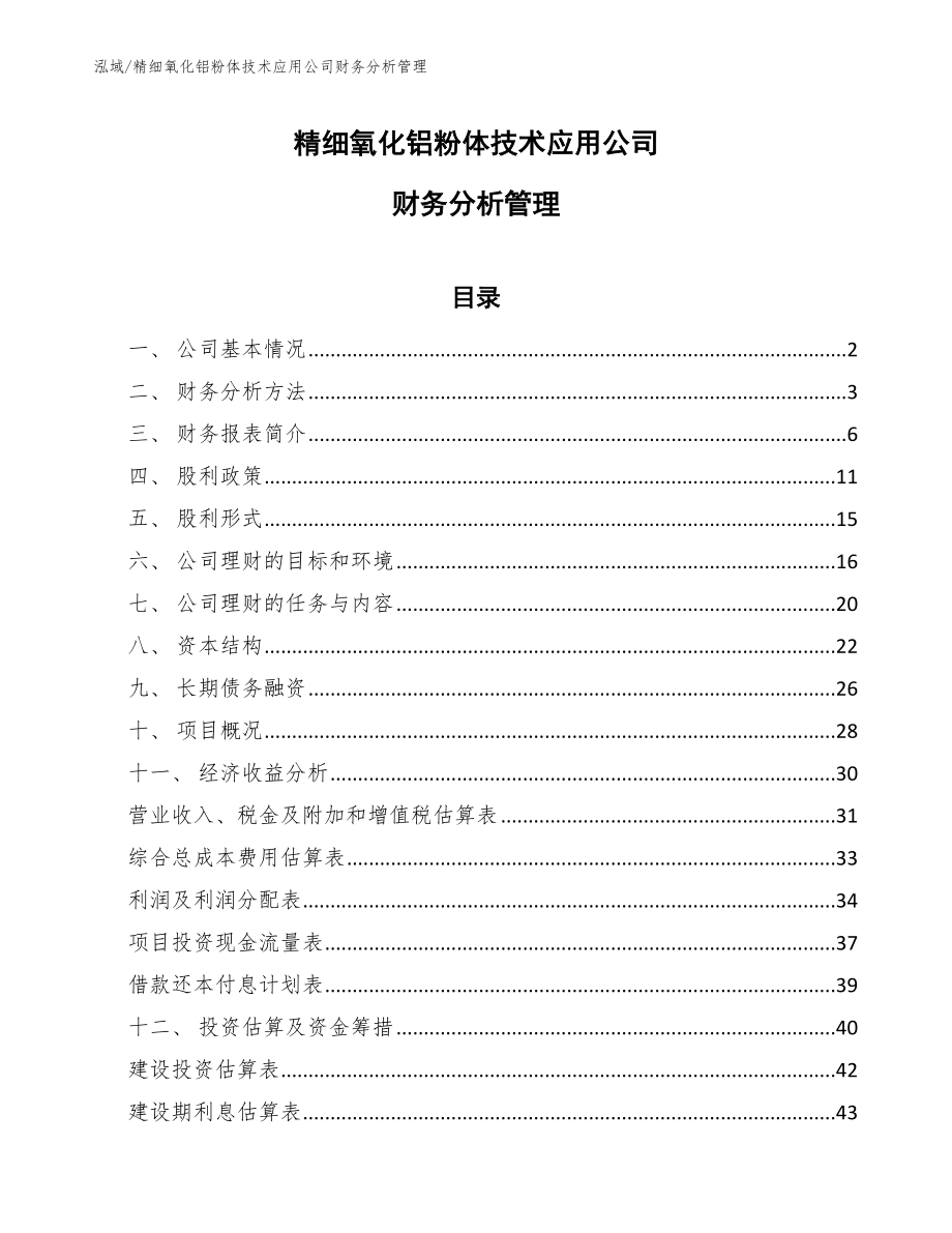 精细氧化铝粉体技术应用公司财务分析管理_第1页