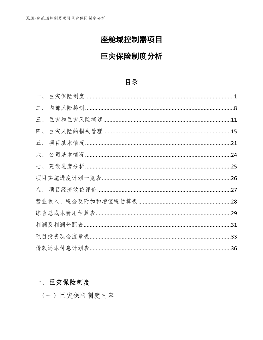 座舱域控制器项目巨灾保险制度分析（参考）_第1页