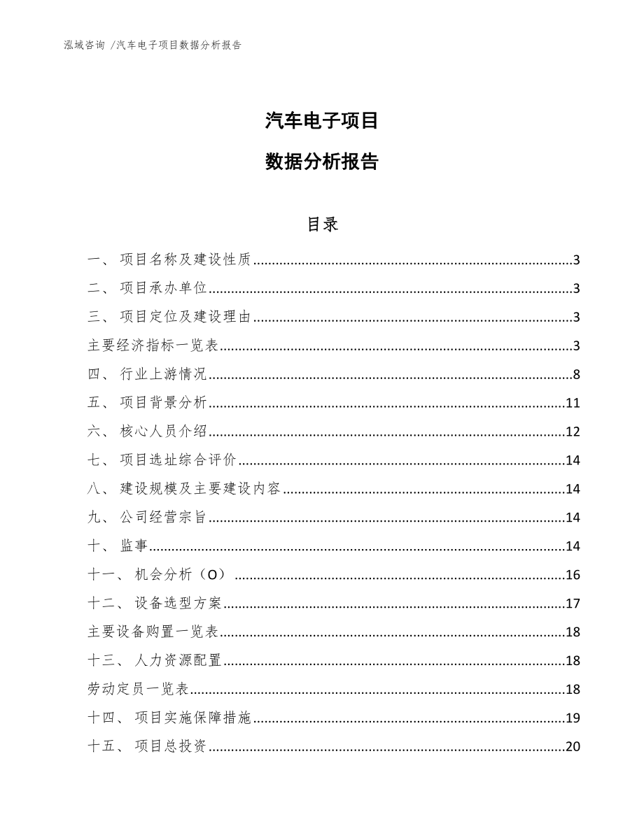 汽车电子项目数据分析报告模板_第1页