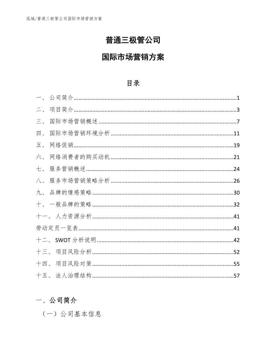 普通三极管公司国际市场营销方案_参考_第1页