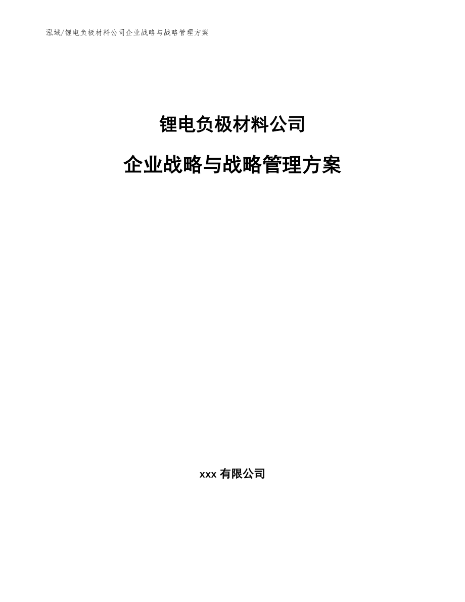 锂电负极材料公司企业战略与战略管理方案_范文_第1页