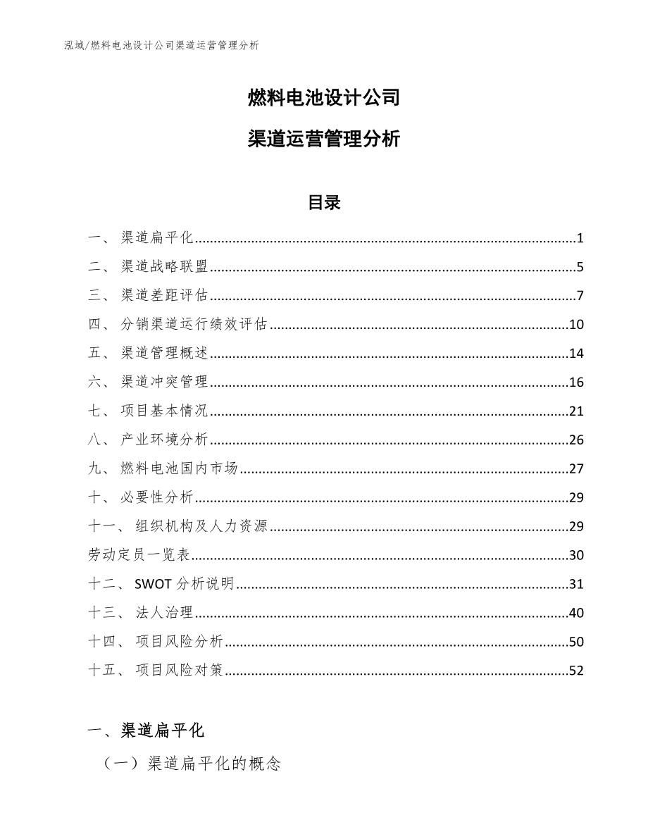 燃料电池设计公司渠道运营管理分析_第1页