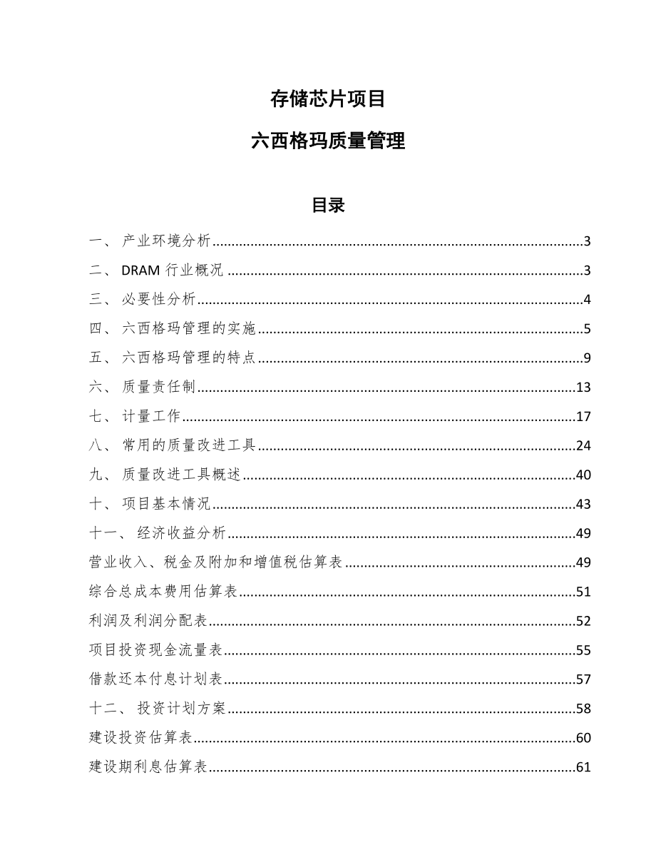 存储芯片项目六西格玛质量管理（范文）_第1页