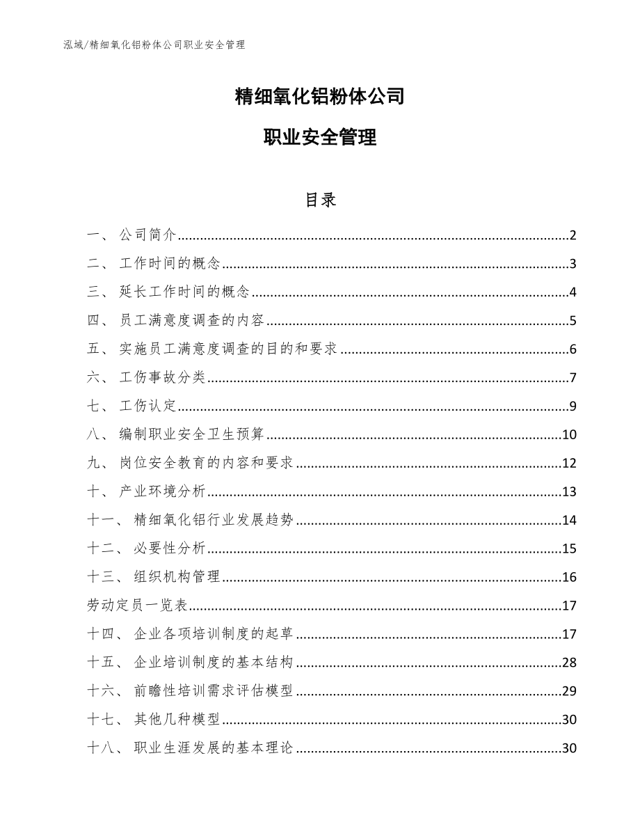 精细氧化铝粉体公司职业安全管理_参考_第1页