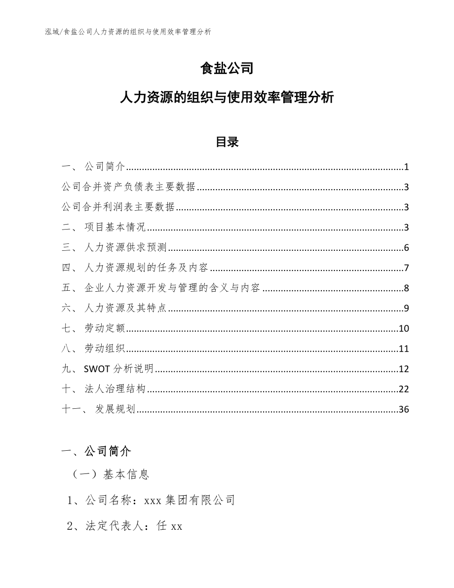 食盐公司人力资源的组织与使用效率管理分析【范文】_第1页