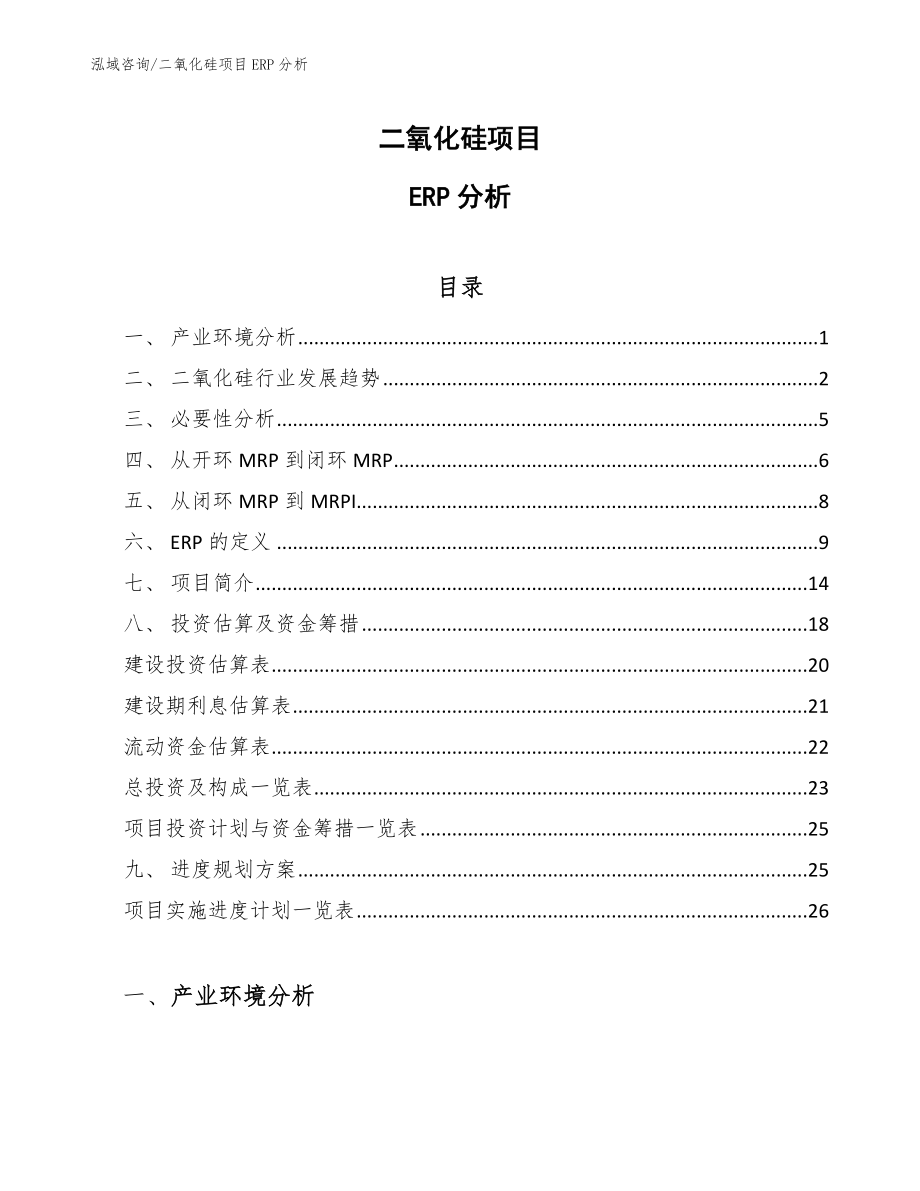 二氧化硅项目ERP分析_范文_第1页