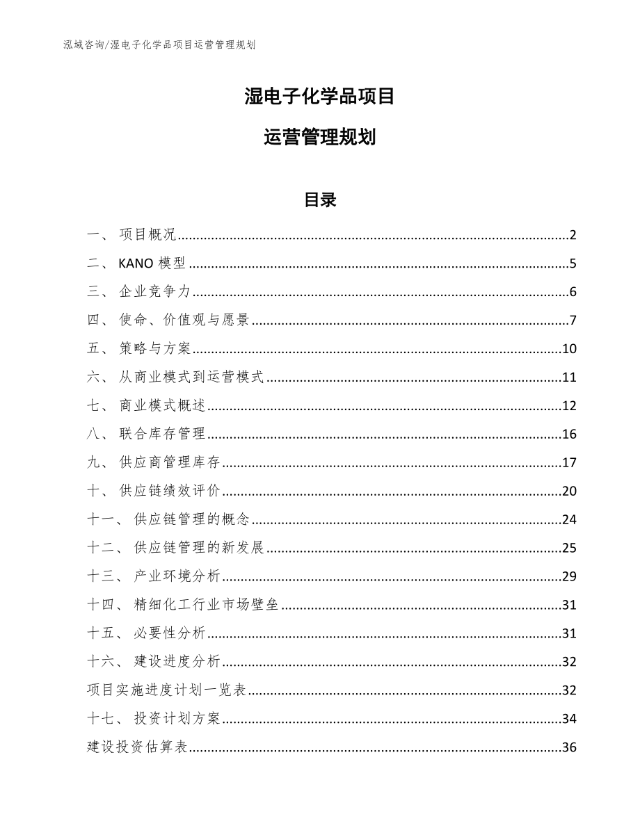 湿电子化学品项目运营管理规划（范文）_第1页