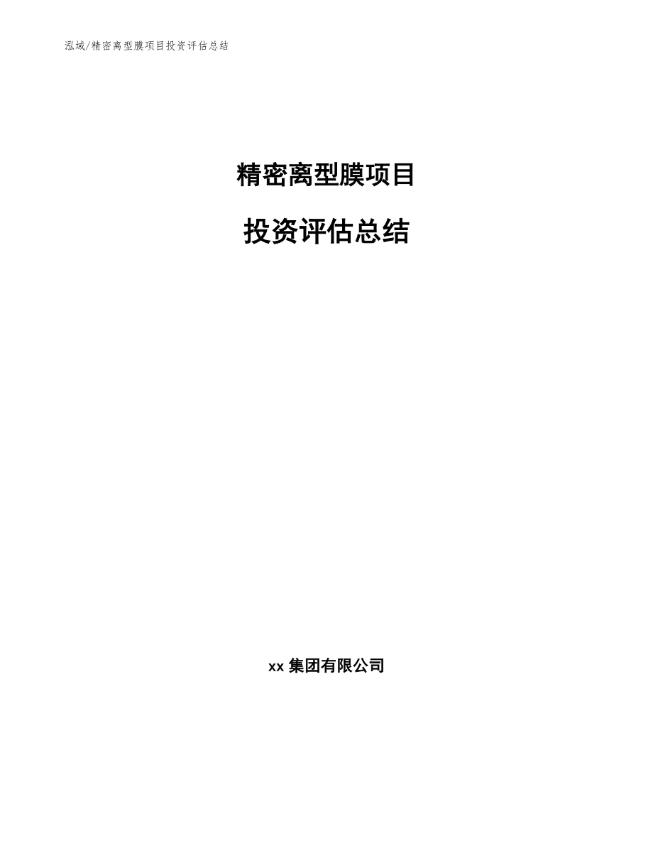 精密离型膜项目投资评估总结（参考）_第1页