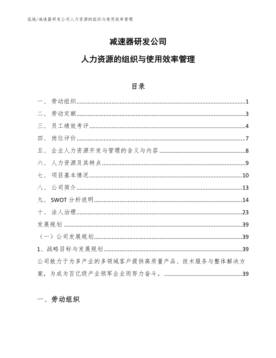 减速器研发公司人力资源的组织与使用效率管理_第1页