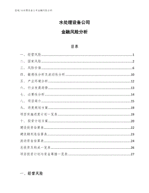 水处理设备公司金融风险分析（范文）