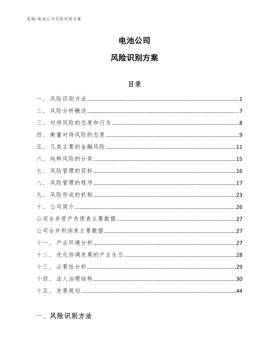 电池公司风险识别方案【参考】_第1页