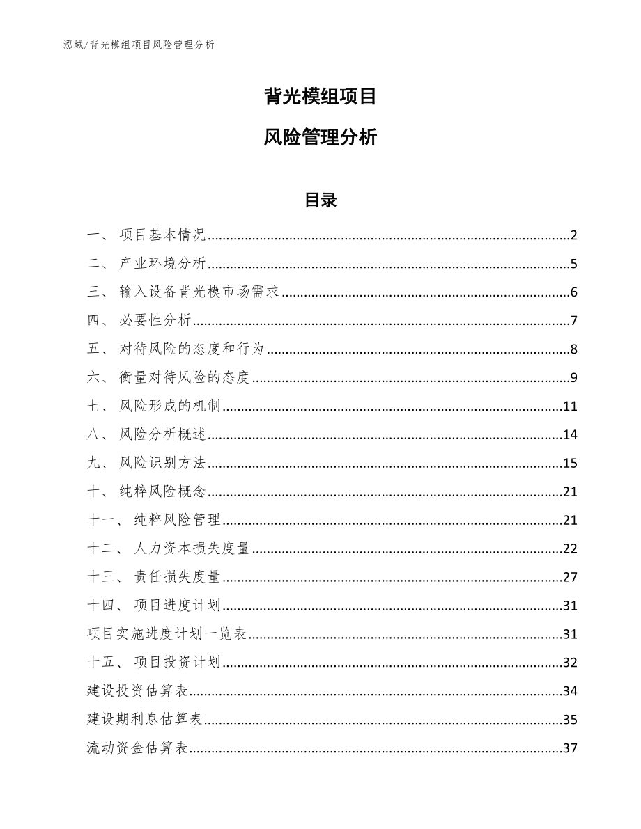 背光模组项目风险管理分析_第1页