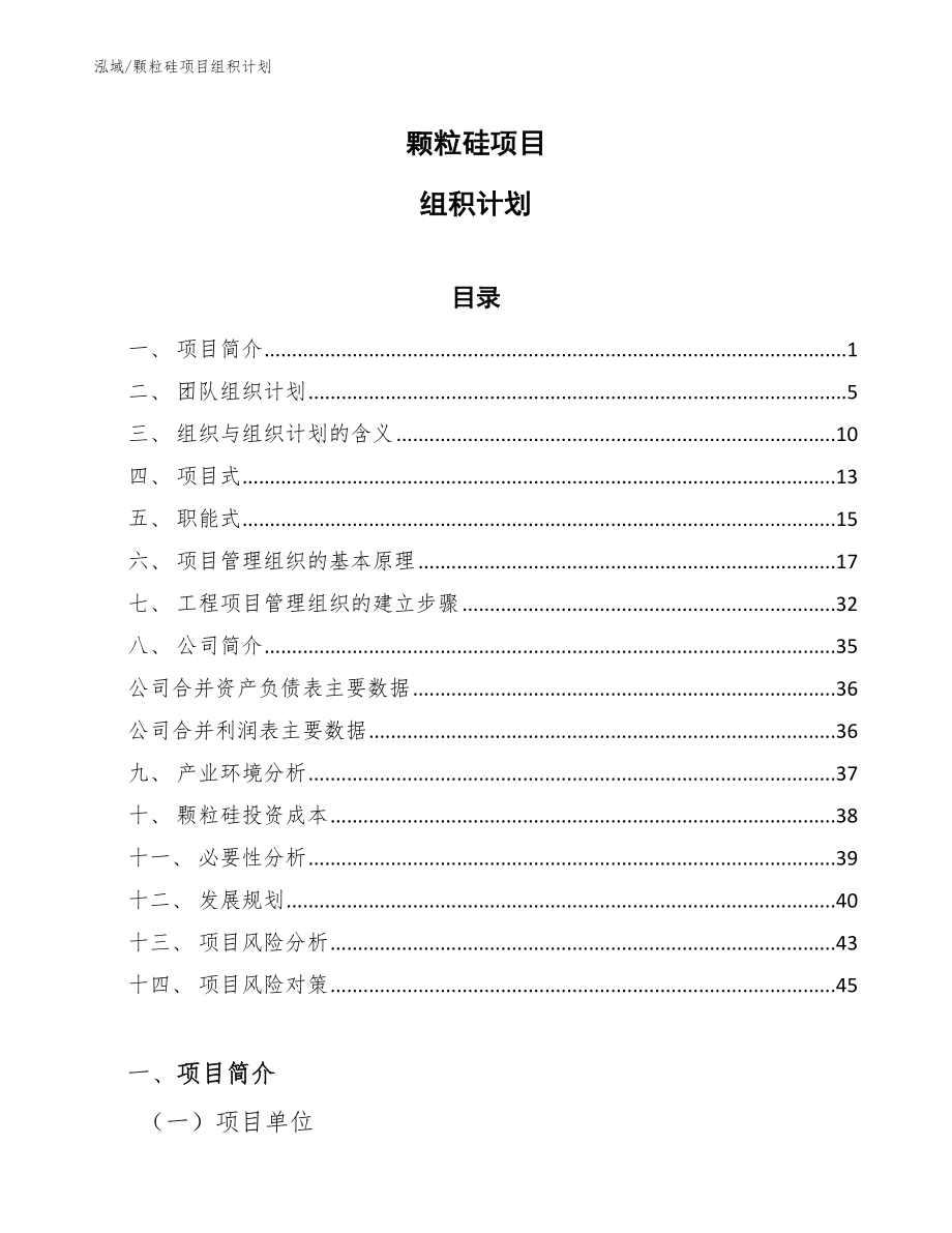 颗粒硅项目组积计划_第1页