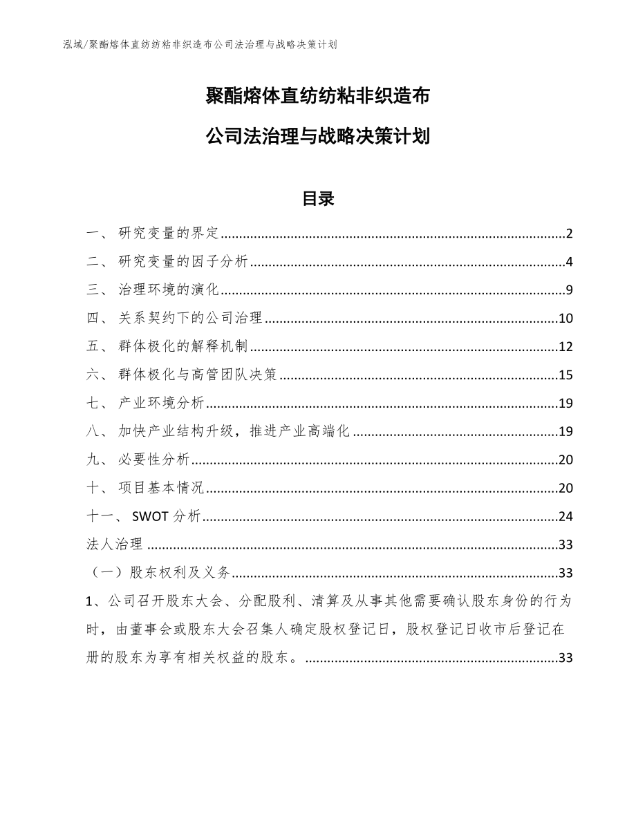 聚酯熔体直纺纺粘非织造布公司法治理与战略决策计划_第1页