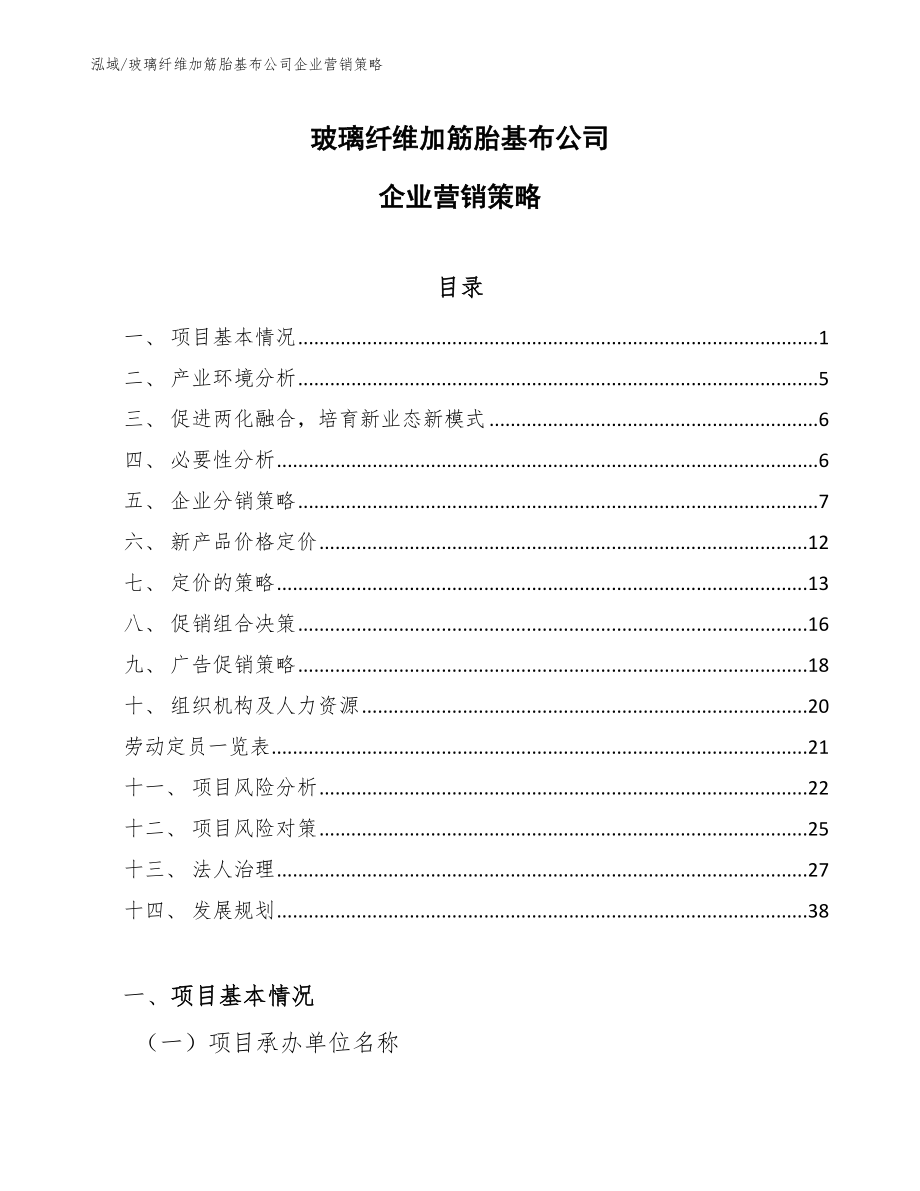 玻璃纤维加筋胎基布公司企业营销策略_第1页