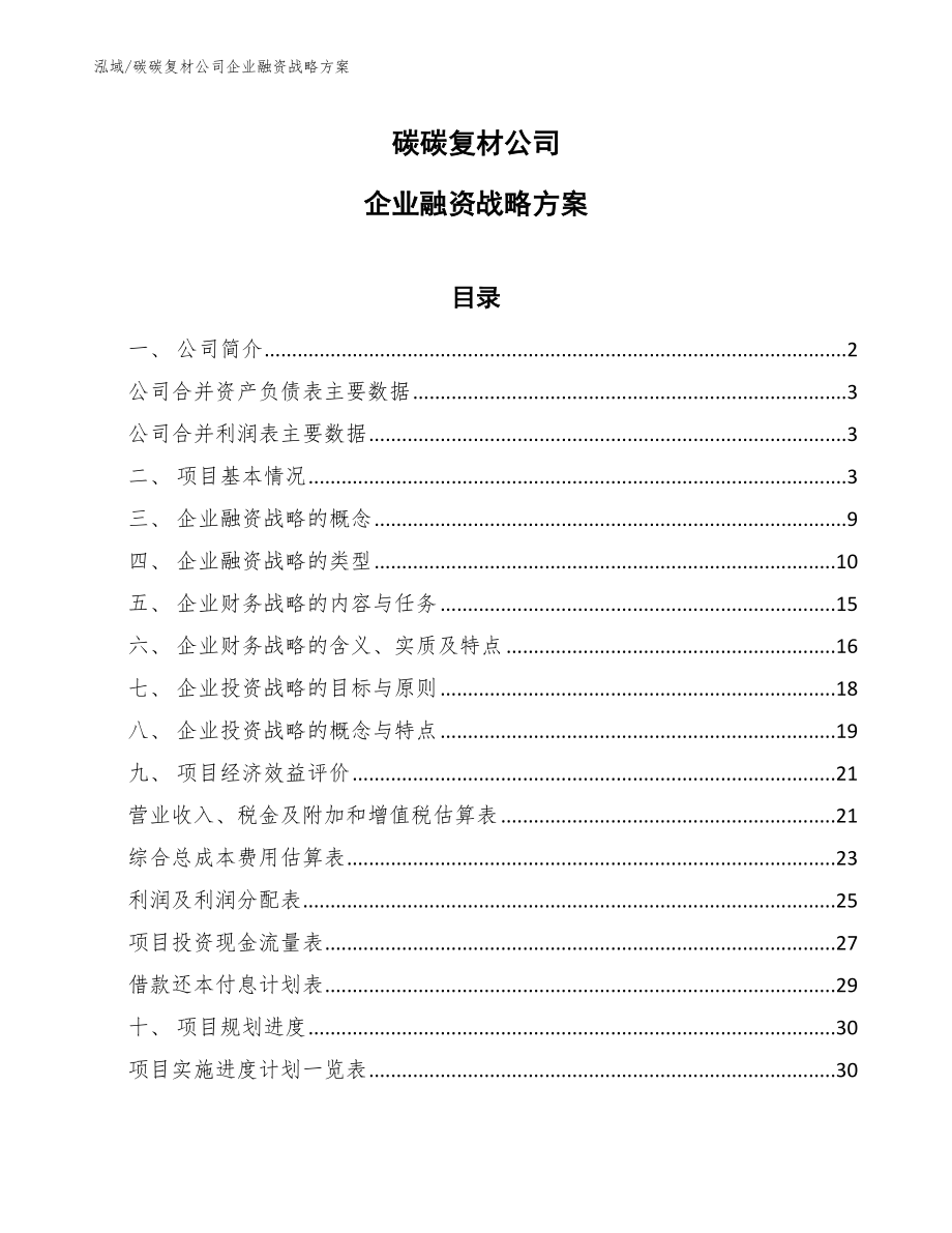 碳碳复材公司企业融资战略方案_第1页