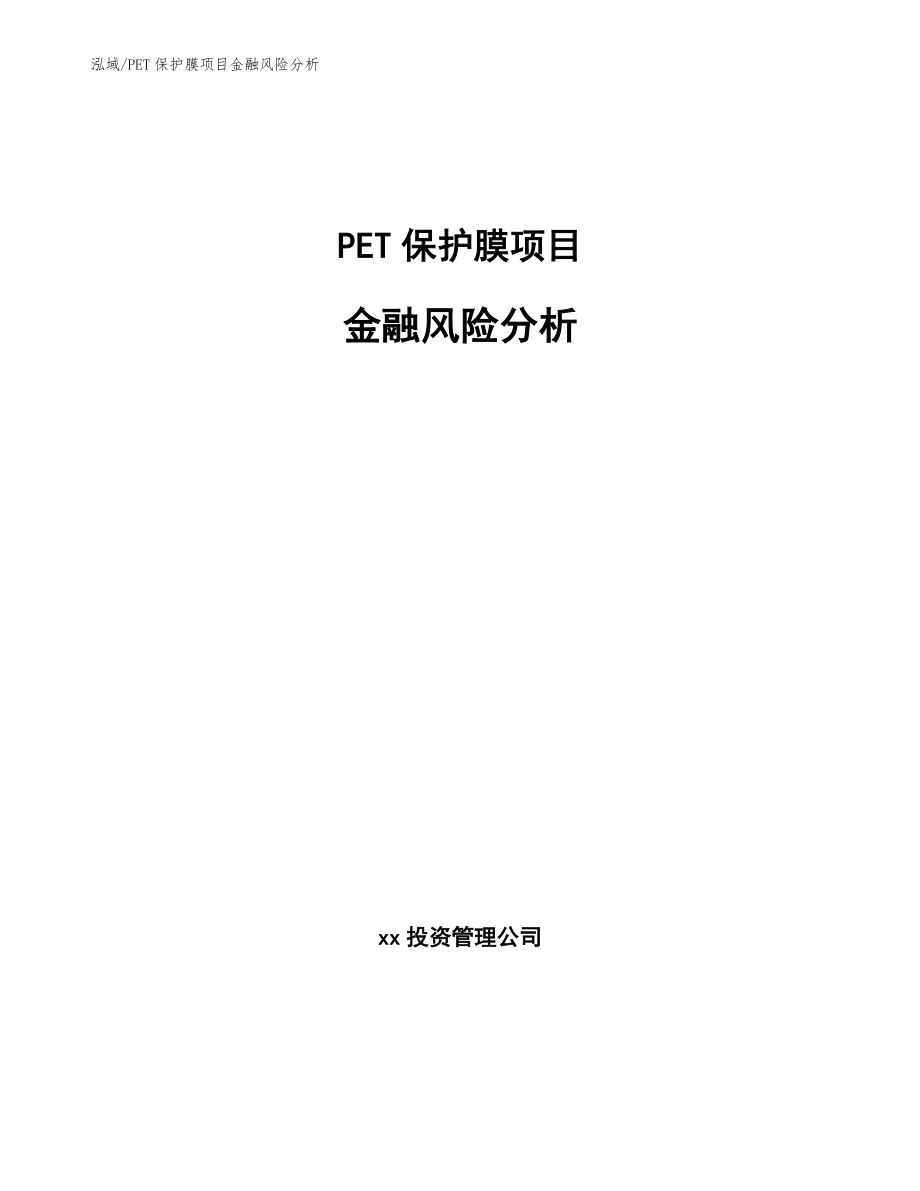 PET保护膜项目金融风险分析_范文_第1页