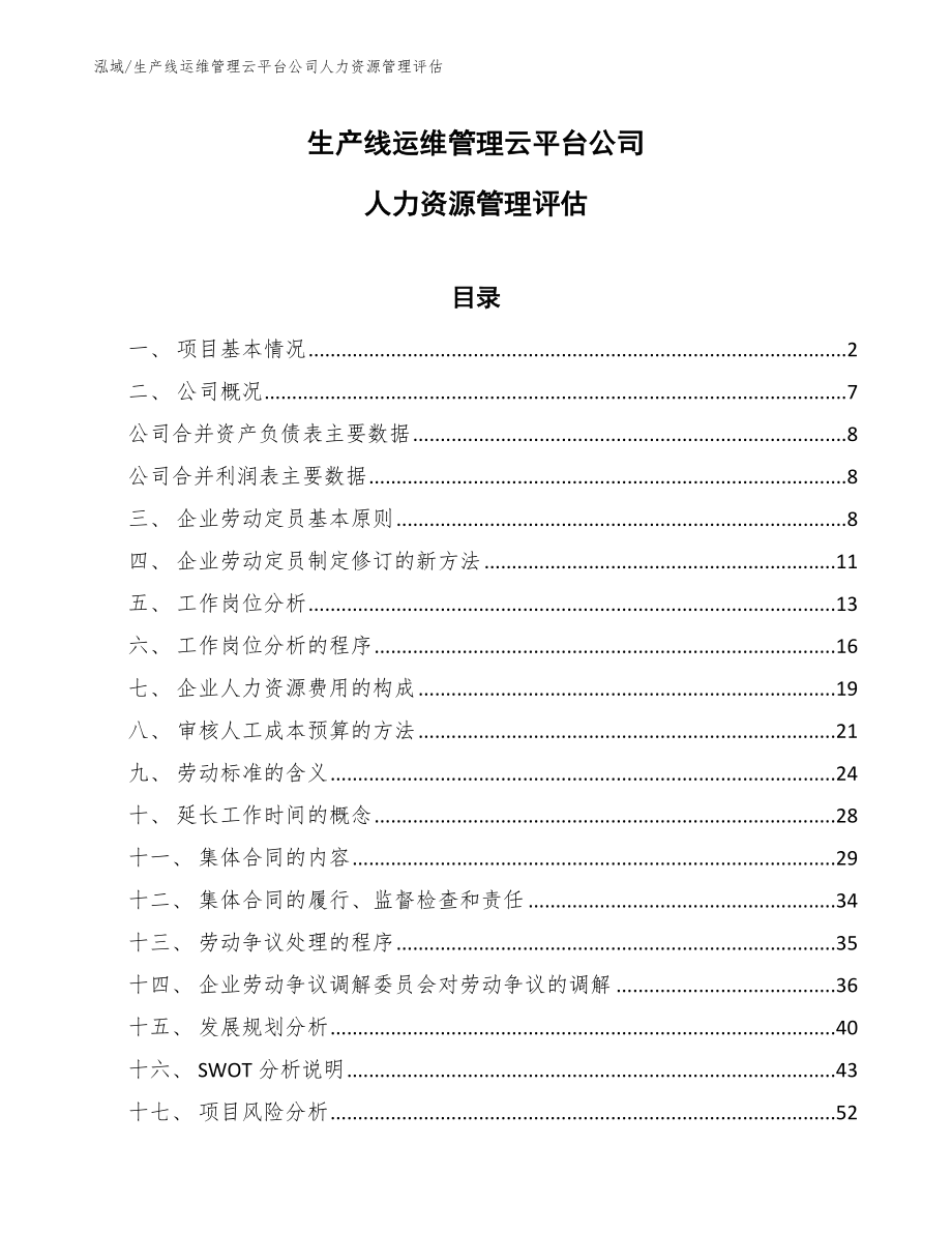 生产线运维管理云平台公司人力资源管理评估【范文】_第1页