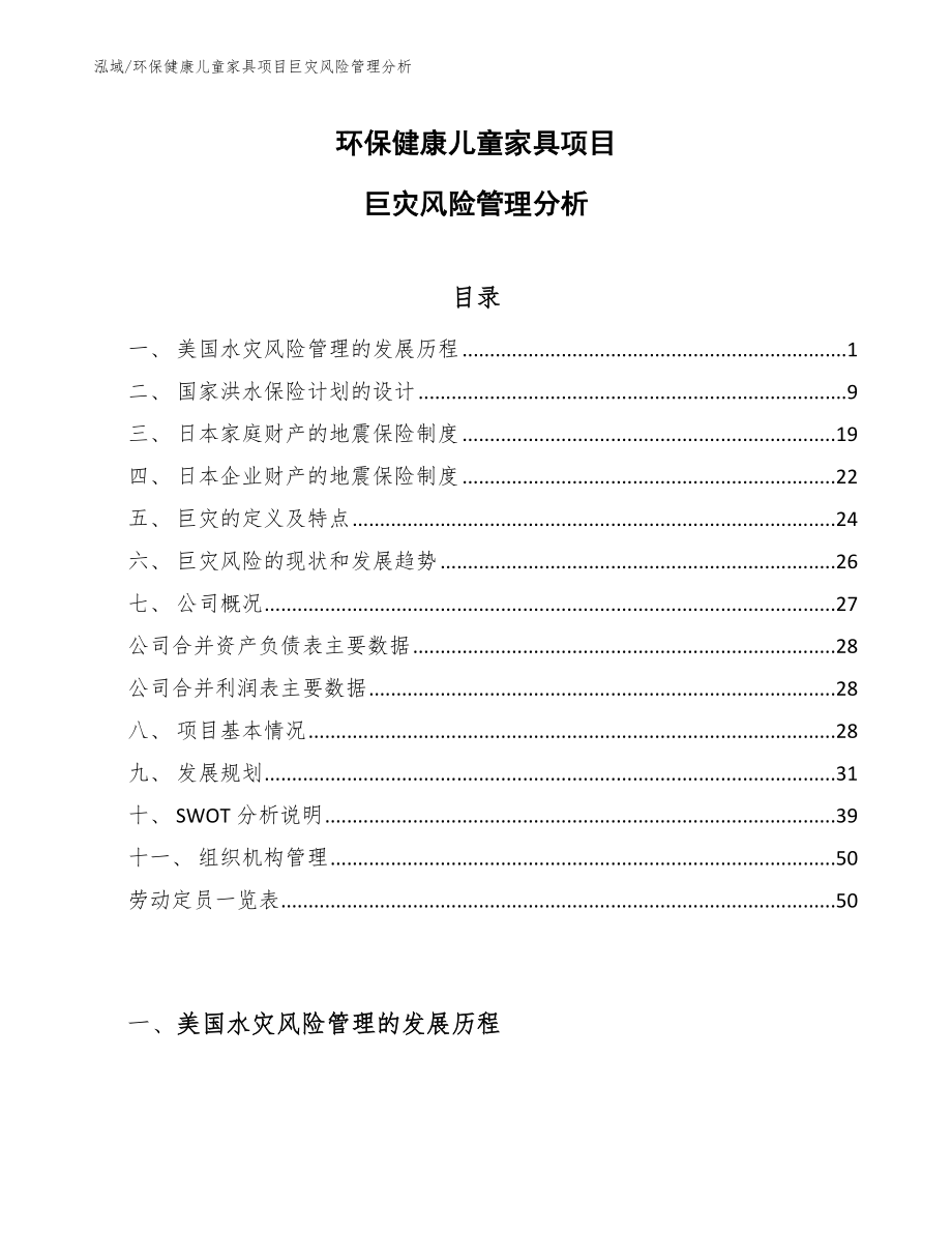 环保健康儿童家具项目巨灾风险管理分析【范文】_第1页