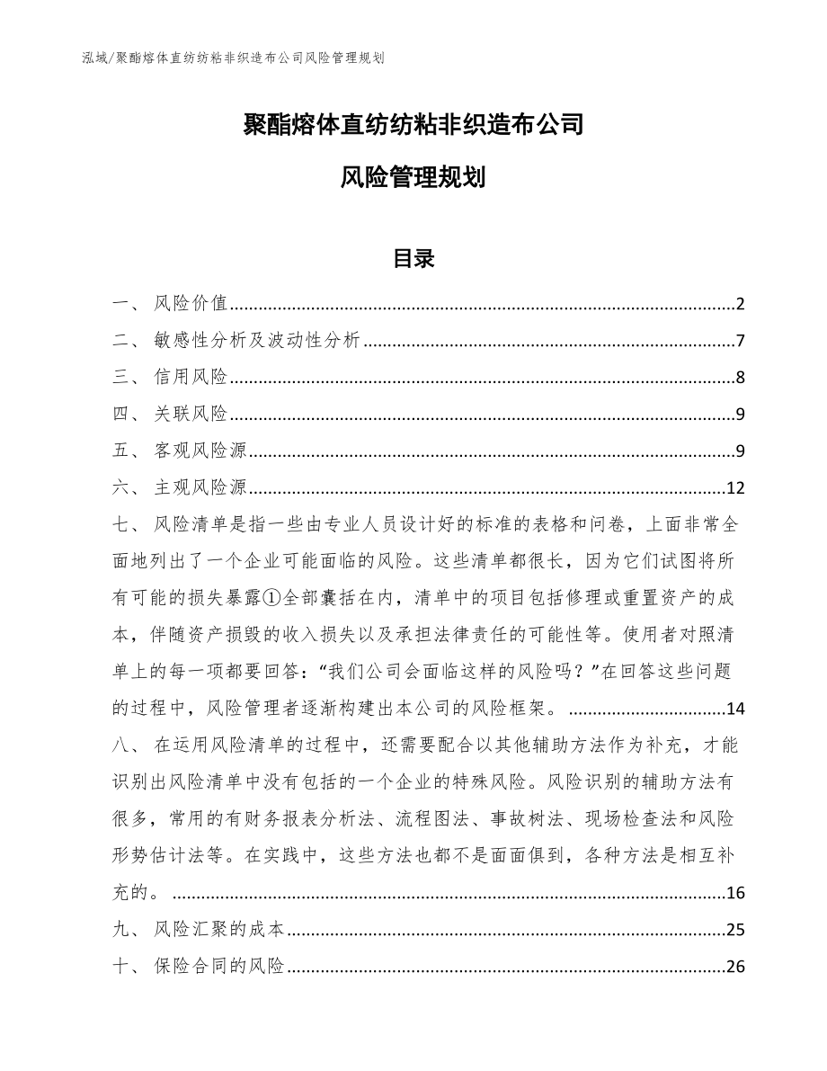 聚酯熔体直纺纺粘非织造布公司风险管理规划【参考】_第1页