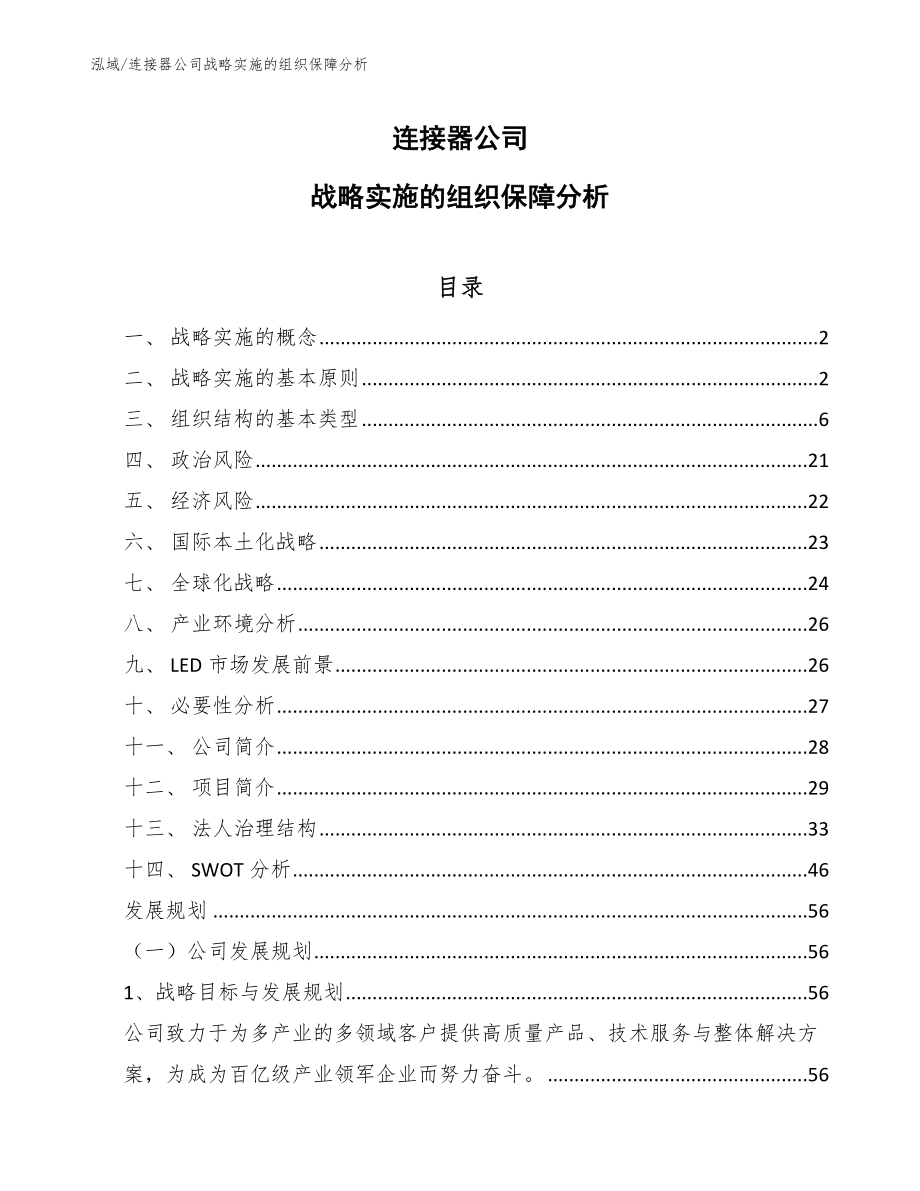 连接器公司战略实施的组织保障分析_范文_第1页