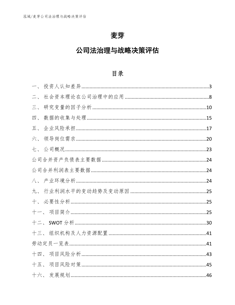 麦芽公司法治理与战略决策评估（范文）_第1页