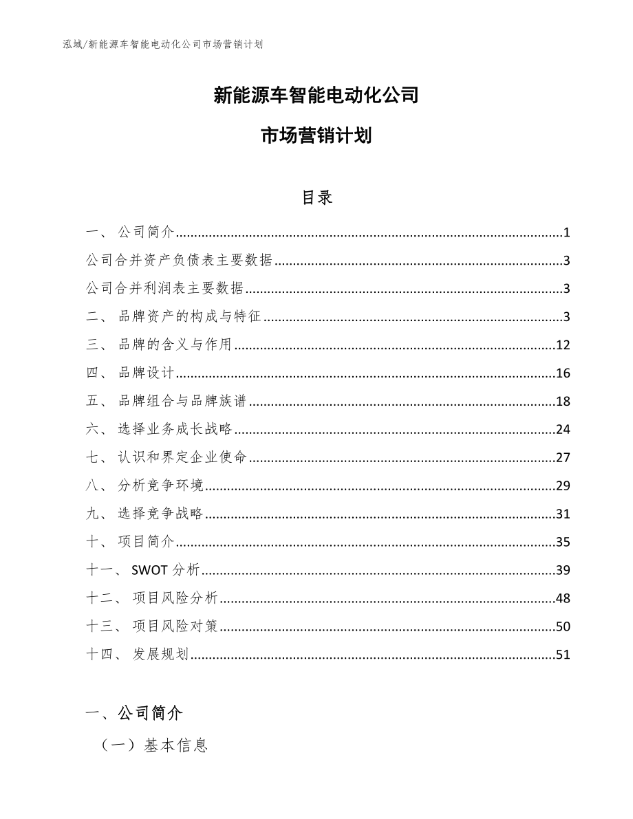 新能源车智能电动化公司市场营销计划（参考）_第1页