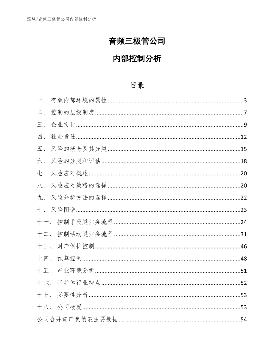 音频三极管公司内部控制分析_参考_第1页