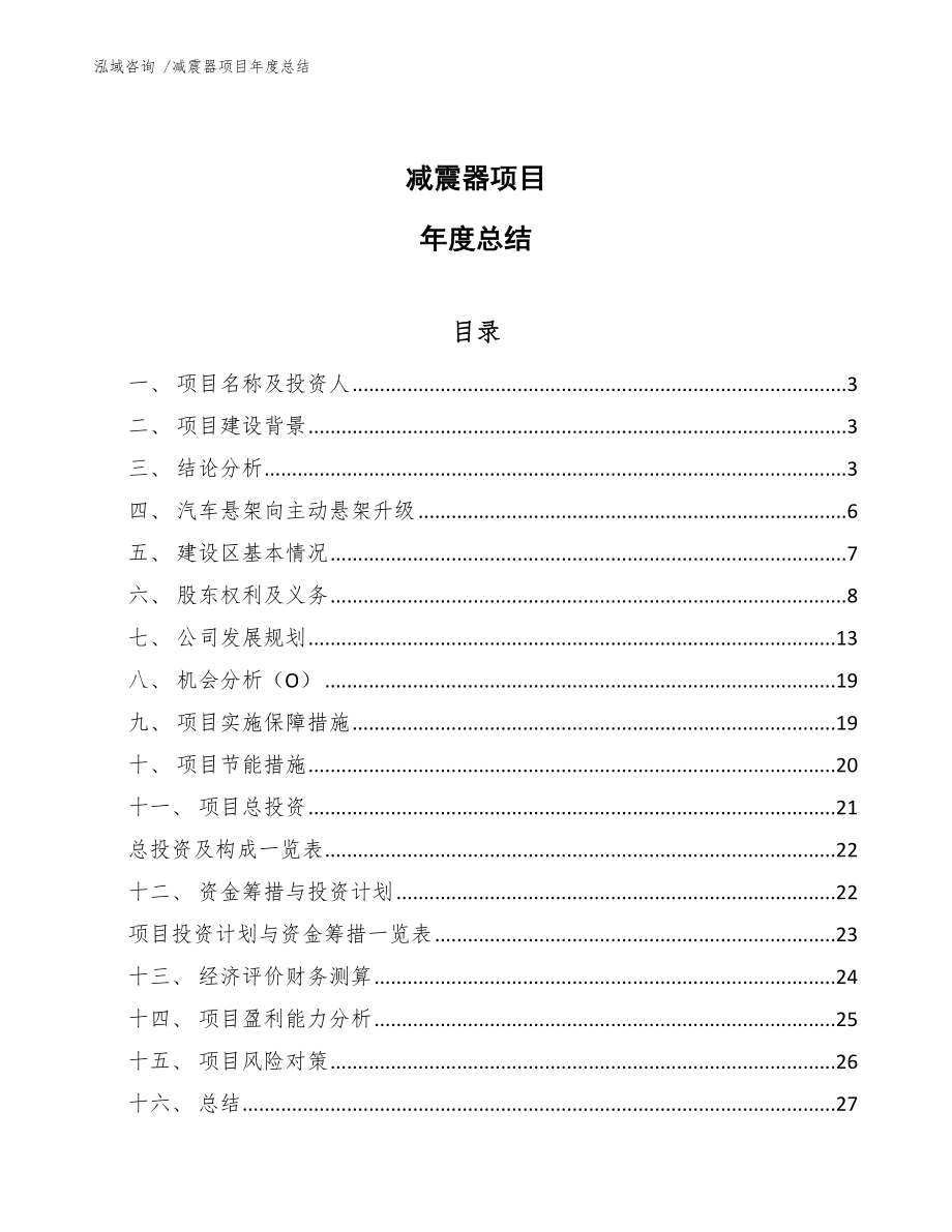 减震器项目年度总结（模板参考）_第1页