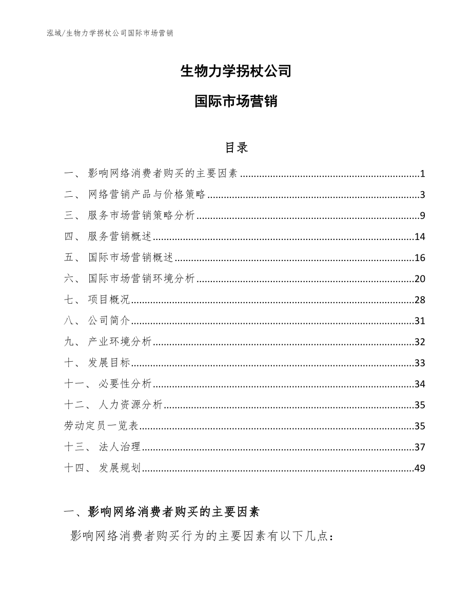 生物力学拐杖公司国际市场营销_第1页