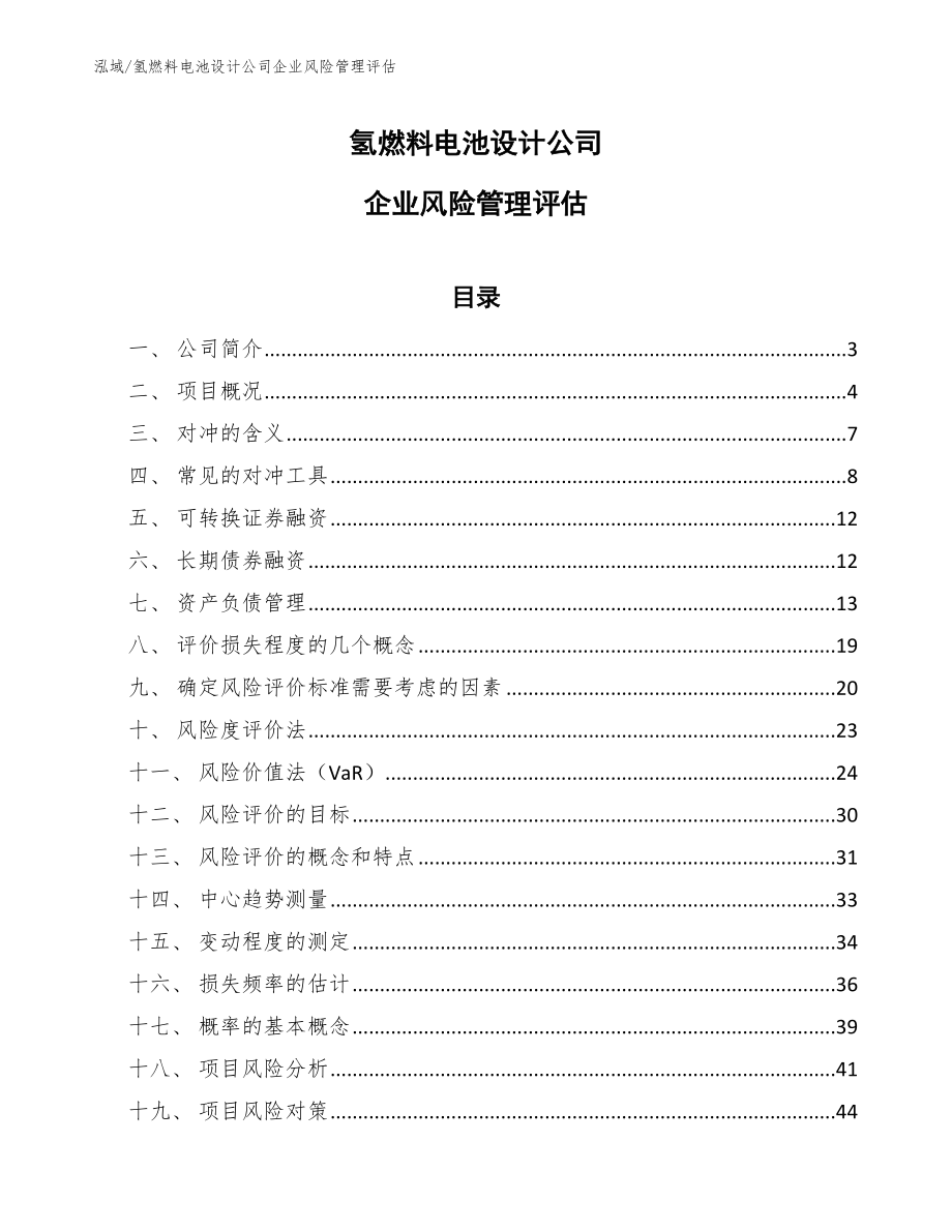 氢燃料电池设计公司企业风险管理评估_范文_第1页