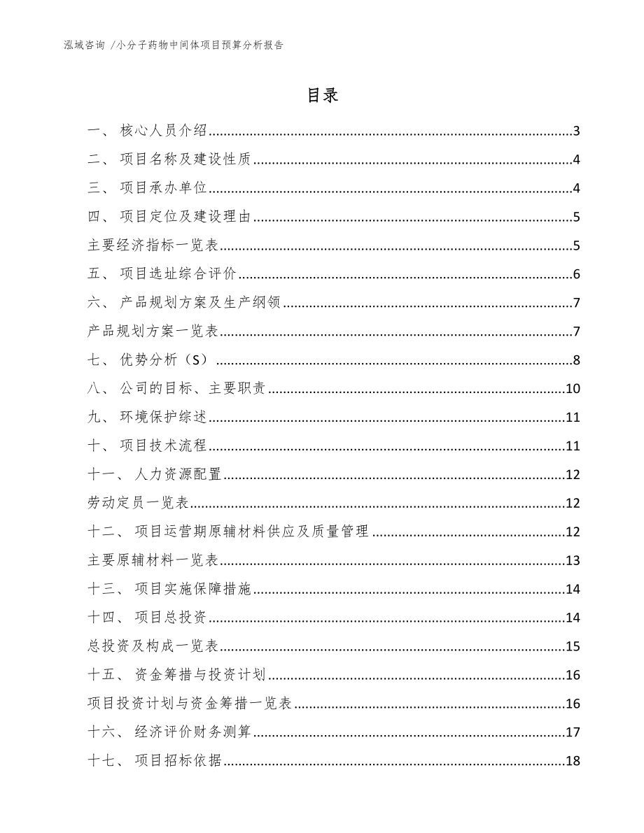 小分子药物中间体项目预算分析报告_第1页